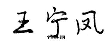 曾慶福王寧鳳行書個性簽名怎么寫