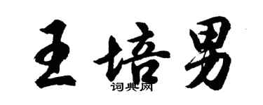 胡問遂王培男行書個性簽名怎么寫