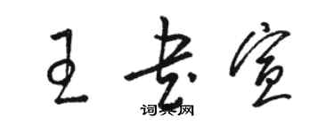 駱恆光王書宣草書個性簽名怎么寫