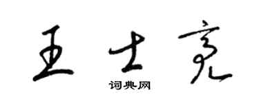 梁錦英王士亮草書個性簽名怎么寫