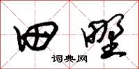 朱錫榮田野草書怎么寫