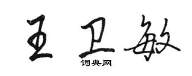 駱恆光王衛敏行書個性簽名怎么寫