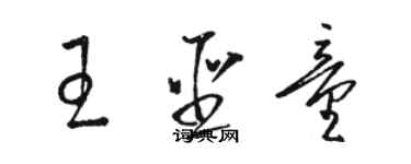 駱恆光王聖童草書個性簽名怎么寫