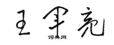 駱恆光王軍亮草書個性簽名怎么寫