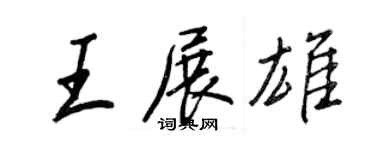 王正良王展雄行書個性簽名怎么寫