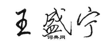 駱恆光王盛寧行書個性簽名怎么寫