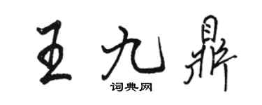 駱恆光王九鼎行書個性簽名怎么寫