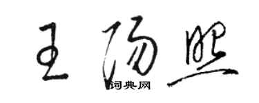 駱恆光王陽照草書個性簽名怎么寫