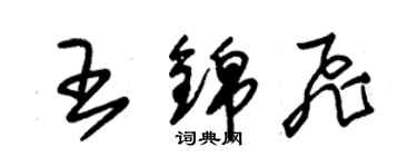 朱錫榮王錦飛草書個性簽名怎么寫