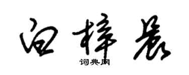 朱錫榮白梓晨草書個性簽名怎么寫