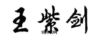 胡問遂王紫劍行書個性簽名怎么寫