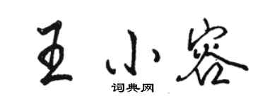 駱恆光王小容行書個性簽名怎么寫