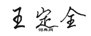 駱恆光王定全行書個性簽名怎么寫