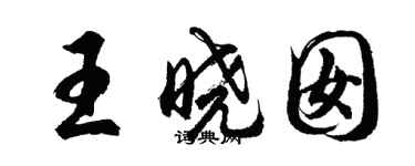 胡問遂王曉囡行書個性簽名怎么寫
