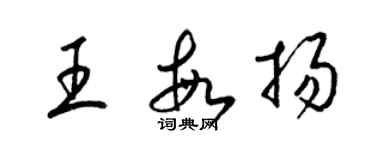 梁錦英王敏揚草書個性簽名怎么寫