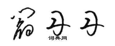 駱恆光閻丹丹草書個性簽名怎么寫