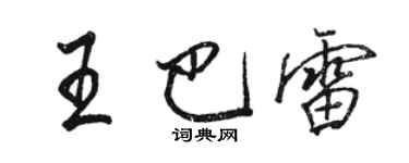 駱恆光王巴雷行書個性簽名怎么寫