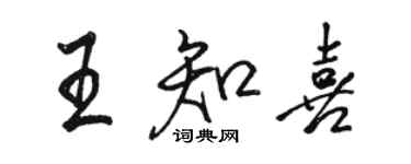 駱恆光王知喜行書個性簽名怎么寫