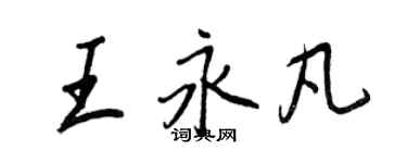 王正良王永凡行書個性簽名怎么寫