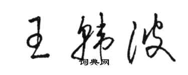 駱恆光王韓波草書個性簽名怎么寫