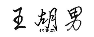 駱恆光王胡男行書個性簽名怎么寫