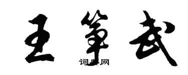 胡問遂王箏武行書個性簽名怎么寫