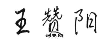 駱恆光王贊陽行書個性簽名怎么寫