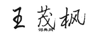 駱恆光王茂楓行書個性簽名怎么寫