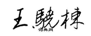 王正良王驍棟行書個性簽名怎么寫