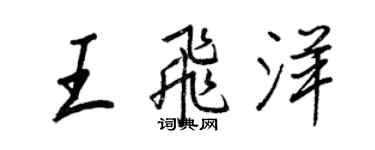 王正良王飛洋行書個性簽名怎么寫