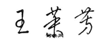 駱恆光王茉芳草書個性簽名怎么寫