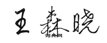 駱恆光王森曉行書個性簽名怎么寫