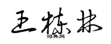 曾慶福王棟林草書個性簽名怎么寫