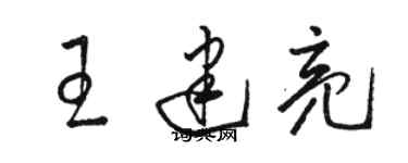 駱恆光王建亮草書個性簽名怎么寫