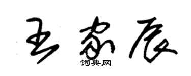 朱錫榮王家辰草書個性簽名怎么寫