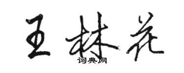 駱恆光王林花行書個性簽名怎么寫