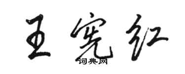 駱恆光王憲紅行書個性簽名怎么寫