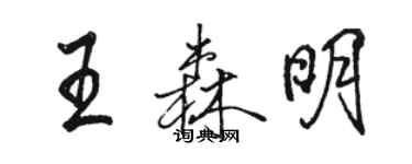 駱恆光王森明行書個性簽名怎么寫