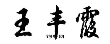 胡問遂王豐霞行書個性簽名怎么寫