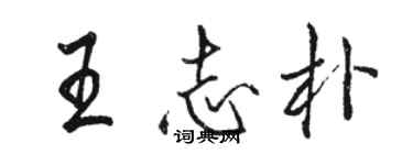駱恆光王志朴行書個性簽名怎么寫
