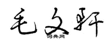 曾慶福毛文軒草書個性簽名怎么寫