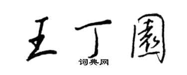 王正良王丁園行書個性簽名怎么寫