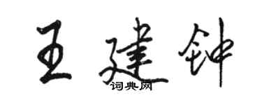 駱恆光王建鐘行書個性簽名怎么寫