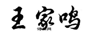 胡問遂王家鳴行書個性簽名怎么寫