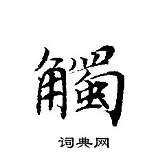 轉輪聖王經寫的觸