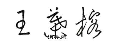 駱恆光王葉榕草書個性簽名怎么寫