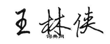 駱恆光王林俠行書個性簽名怎么寫