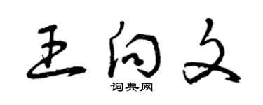 曾慶福王向文草書個性簽名怎么寫