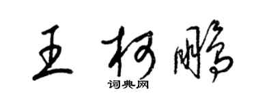 梁錦英王柯鵬草書個性簽名怎么寫