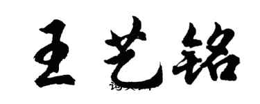 胡問遂王藝銘行書個性簽名怎么寫